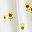 Ivory Micro Sunflower