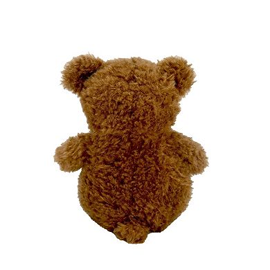 Carter's Squishy Bear Soft Plush Toy