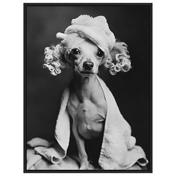 Spa Day Pooch by Niky Rahner Framed Canvas Wall Art Print