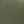 Sphagnum