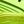 Barely Volt Black