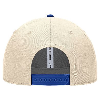Men's Nike Natural Air Force Falcons Vintage Rise Dri-FIT Adjustable Hat