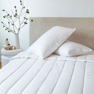 2 Pack Medium Down & Feather Chamber Bed Pillow