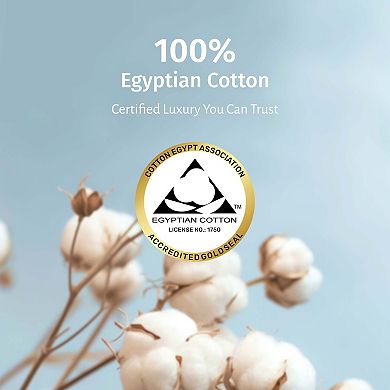 California Design Den Certified Luxury 100% Egyptian Cotton Percale Pillowcases Set of 2