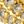 Gold Tone