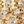 Gold Tone