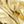 Gold Tone