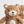Cuddly Bear