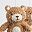 Cuddly Bear