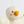 Goosey Goosey