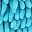 Green Solid Blue