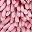 Pink Solid Dark Pink