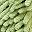 Green Purple Leaf