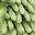 Green Yellow