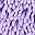 Purple Purple Leaf