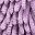 Purple Solid Dark Pink