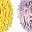 Purple Pink Yellow