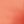 Summer Coral