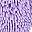 Purple Solid Blue