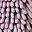 Purple Solid White