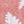 Pink Light Yellow