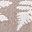 Brown Beige