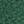 Spruce