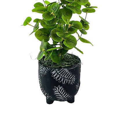 Faux 22-Inch Silver Dollar and Eucalyptus in Ombre Vase