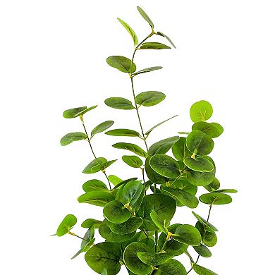 Faux 22-Inch Silver Dollar and Eucalyptus in Ombre Vase