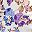 Lilac Blue Floral