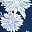 Sea Navy Daisies