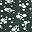 Forest Ivory Floral