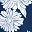 Sea Navy Daisies