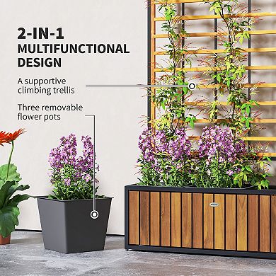 Outsunny Raised Garden Bed, Planter Box with Trellis, Removable Pots