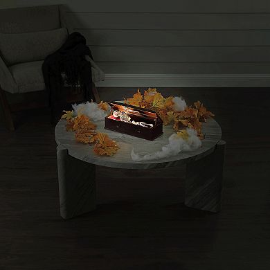 Mr. Halloween 12-Inch Animated Skeleton Coffin Decor