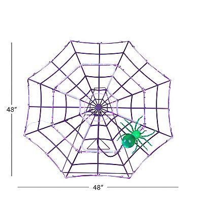 Mr. Halloween 4 ft. Outdoor Animated Spider Web Decor