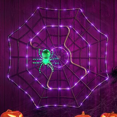 Mr. Halloween 4 ft. Outdoor Animated Spider Web Decor