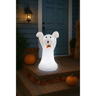 Mr. Halloween 24 in. Outdoor Ghost LED Blow Mold Decor