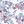 Multicolored Floral