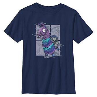 Boys 8-20 Fortnite Llama Graphic Tee
