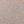 Rose Tone Beige