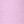Blackstripe Pinkstripe
