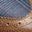 Navy Cognac