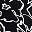 Black Josefina Floral