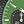 Black Green