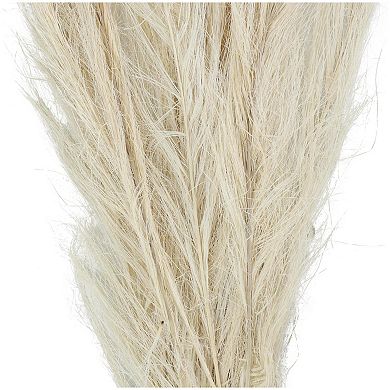 Stella & Eve Dried Plant Tall Grass Home Decor Natural Foliage with Stems