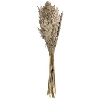 Stella & Eve Dried Plant Grass Home Decor Natural Foliage with Long Stems