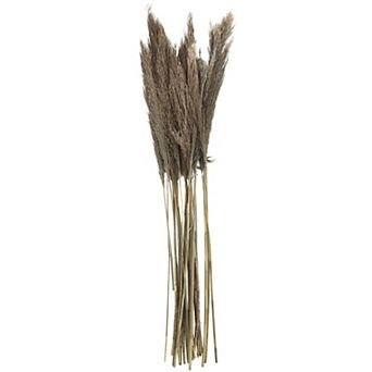 Stella & Eve Dried Plant Grass Arrangement with Long Stems