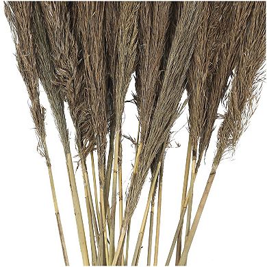 Stella & Eve Dried Plant Grass Arrangement with Long Stems