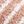 Rose Stripe